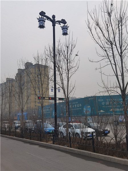 临沂大香蕉啪啪网厂家