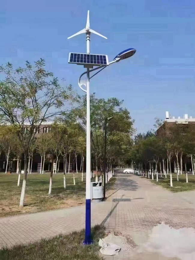 太阳能大香蕉啪啪网